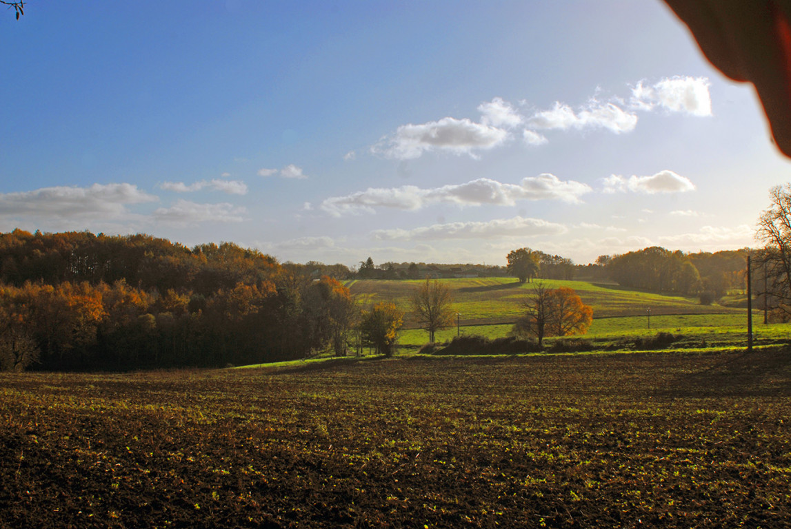 6520 - Mareuil en Périgord – Image 19