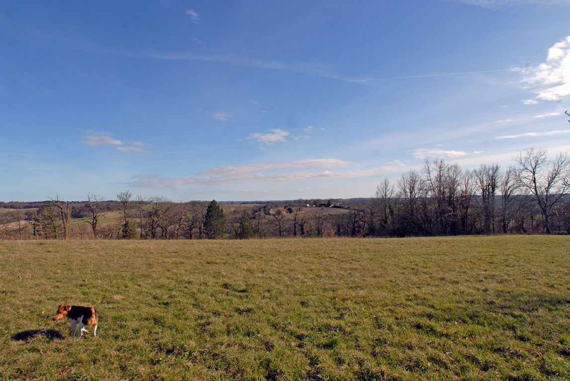 6531 - Allemans – Image 15