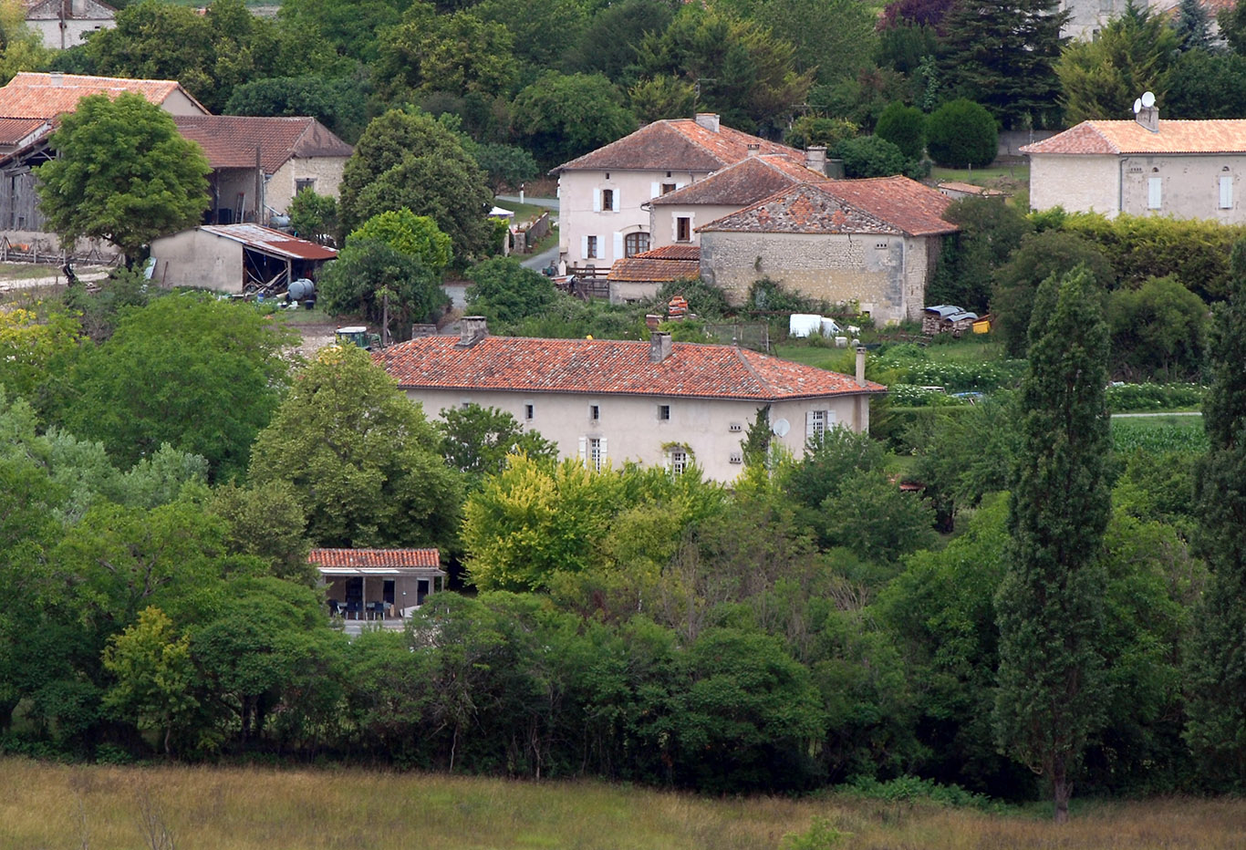5769 - Verteillacois – Image 27
