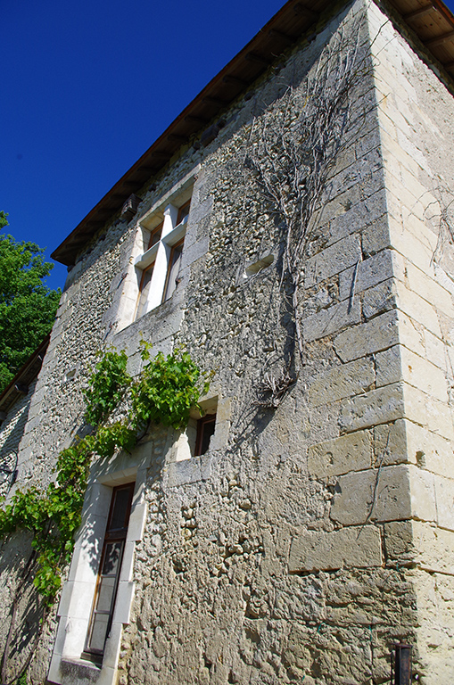 6539 - SAINT MÉARD DE DRÔNE – Image 25
