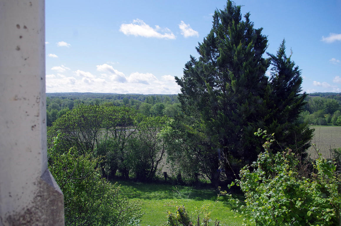 6539 - SAINT MÉARD DE DRÔNE – Image 44