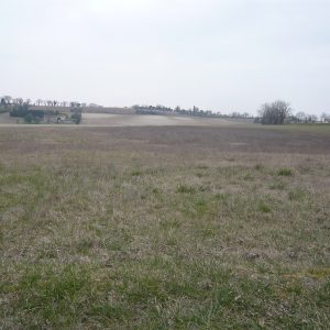5592 - Riberac