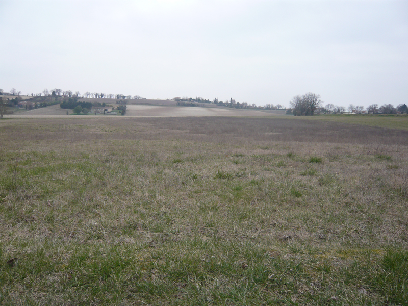 5592 - Riberac